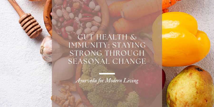 Gut Health & Immunity: Staying Strong Through Seasonal Change